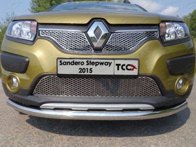 Рамка номерного знака Renault Sandero Stepway (комплект) ТСС для Любые